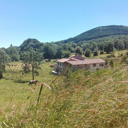 拉弗提磨坊住宿加早餐旅馆 Viscomtat 外观 照片